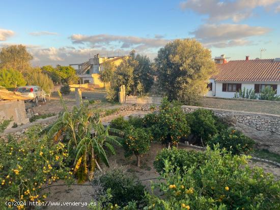 TERRENO EN BUGER - BALEARES