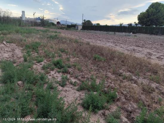 Terreno en Venta en el Torrejón - Totana - MURCIA