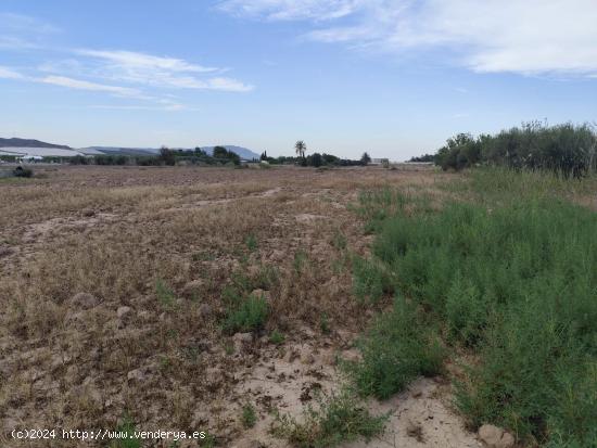 Terreno en Venta en el Torrejón - Totana - MURCIA