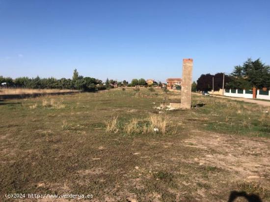 PARCELA EN MORALES DEL VINO - ZAMORA