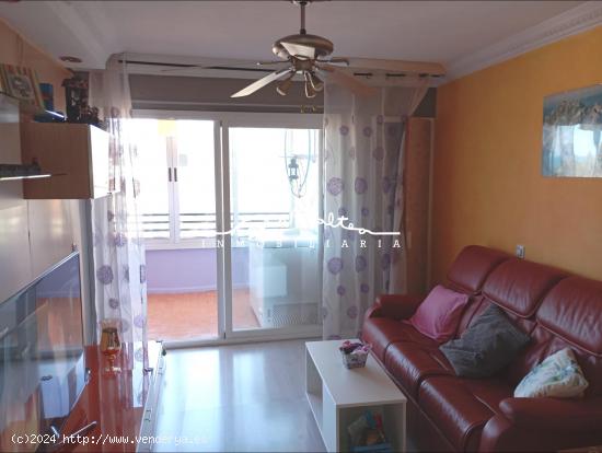 Apartamento en Alfaz del Pi - ALICANTE