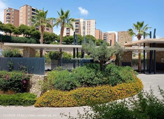 EXCELENTE APARTAMENTO 1 LINEA DE MAR!!! - ALICANTE