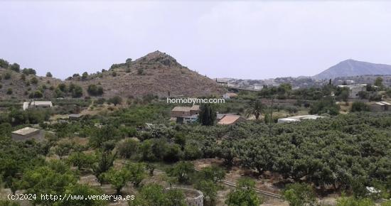 PARCELA RUSTICA EN ALTEA - ALICANTE