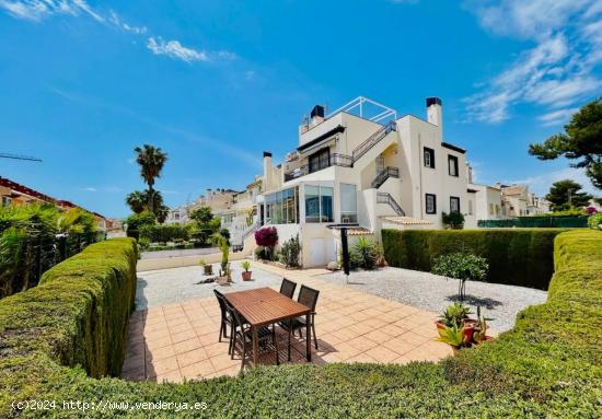  BUNGALOW EN PLANTA BAJA DE 2 DORMITORIOS 2 BAÑOS EN VILLA MARTIN (ORIHUELA COSTA) ALICANTE - ALICAN 