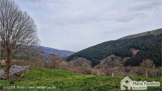 Venta de Casona de Piedra en Luena con terreno - CANTABRIA