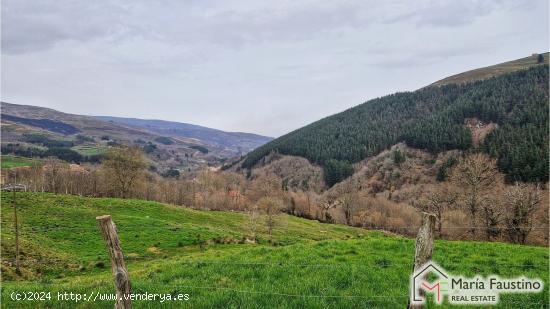 Venta de Casona de Piedra en Luena con terreno - CANTABRIA