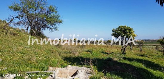 FINCA EN ALHAURIN DE LA TORRE