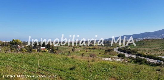 FINCA EN ALHAURIN DE LA TORRE