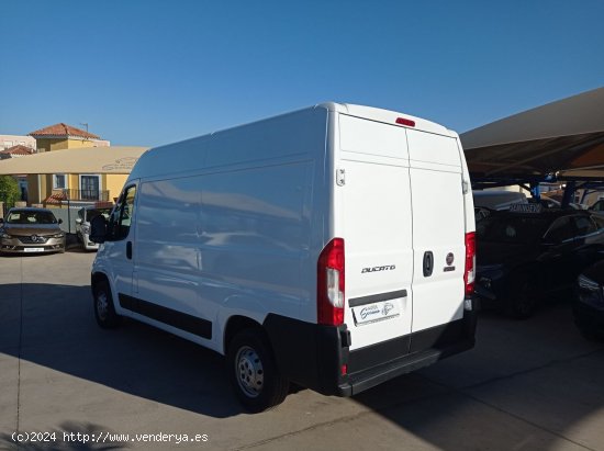 Fiat Ducato  FG 33 2.3 MJET 130CV - Manilva