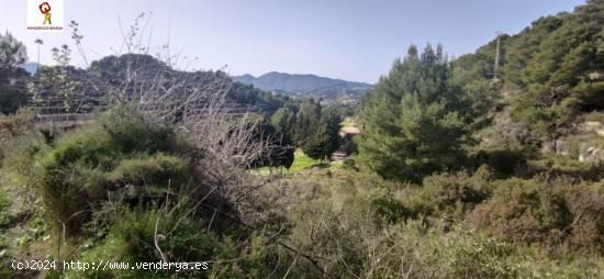 PARCELA DE 14.000 M2 APROX. EN PARTIDA LLENES (BENISSA) - ALICANTE