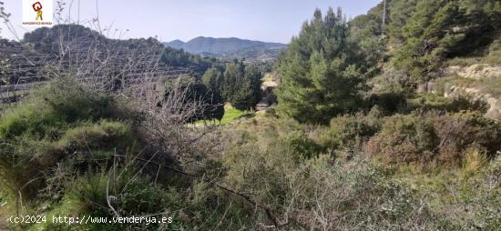 PARCELA DE 14.000 M2 APROX. EN PARTIDA LLENES (BENISSA) - ALICANTE