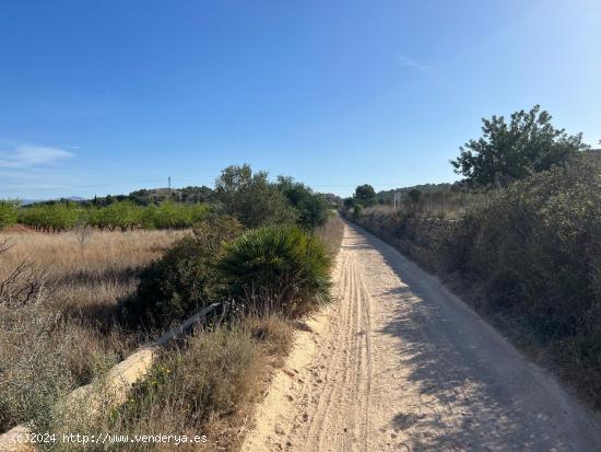 FINCA RUSTICA PARA EL CULTIVO - VALENCIA