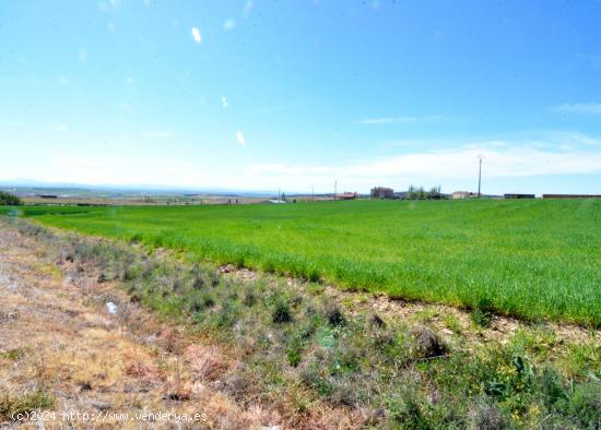  Urbis te ofrece unas estupendas parcelas en venta en Terradillos, Salamanca. - SALAMANCA 