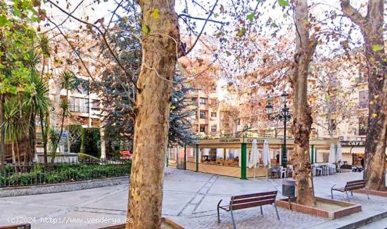  Magnífico piso de 3 dormitorios en la plaza Mariana Pineda de Granada. - GRANADA 