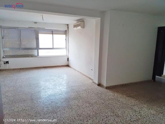 PISO PARA REFORMAR JUNTO PLAZA DE ANDALUCIA - CORDOBA