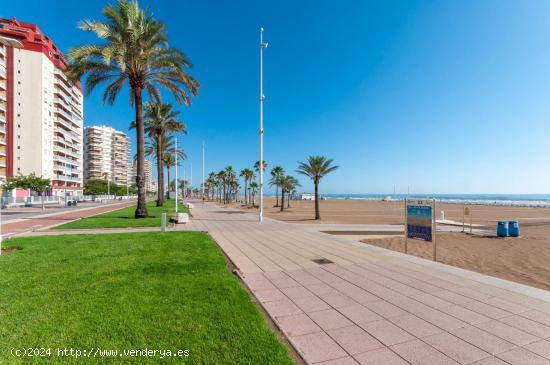 ALQUILER GANDIA VERANO 2024 - VALENCIA