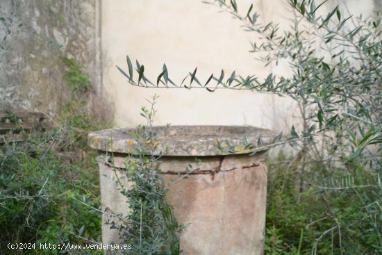 Una pequeña joya en Campanet - BALEARES