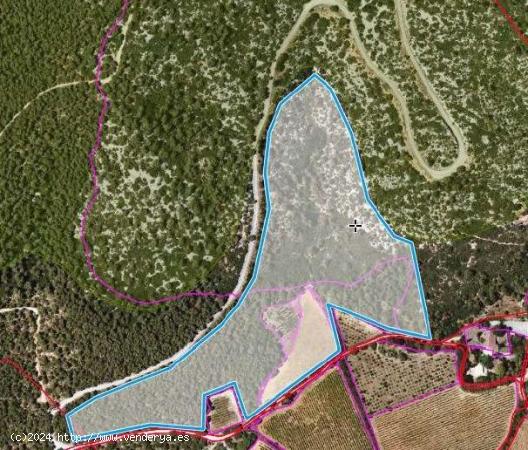 FINCA RÚSTICA EN BEGUES A 1 KM DE LA SUBESTACIÓN - BARCELONA