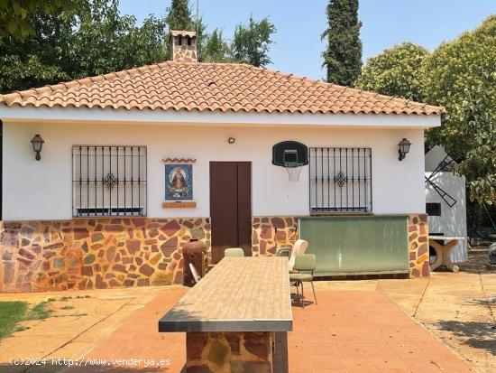 APIHOUSE ALQUILA CON OPCION A COMPRA CHALET EN CIUDAD REAL. PRECIO 460.000€ - CIUDAD REAL