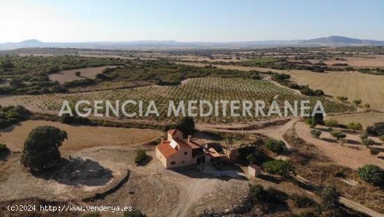 FINCA RÚSTICA EN ALMANSA, DE 100 HECTÁREAS CON CASA UNIFAMILIAR EN PERFECTO ESTADO. - ALBACETE