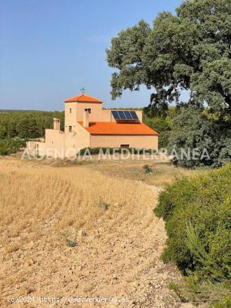 FINCA RÚSTICA EN ALMANSA, DE 100 HECTÁREAS CON CASA UNIFAMILIAR EN PERFECTO ESTADO. - ALBACETE