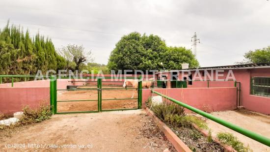 Terreno con Cuadras de caballos en Albalat dels Tarongers - VALENCIA