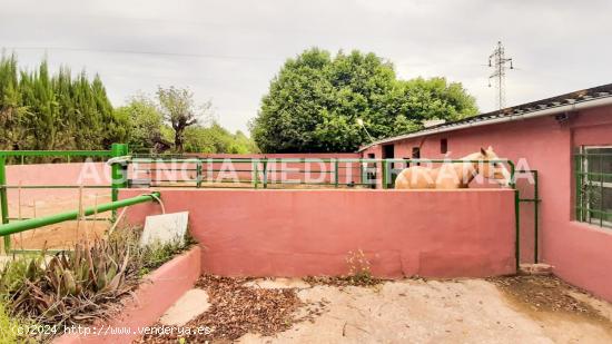 Terreno con Cuadras de caballos en Albalat dels Tarongers - VALENCIA