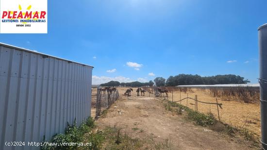 FINCA RUSTICA DE  35.776 M2     ZONA EL PINAR DE LA VILLA - CADIZ