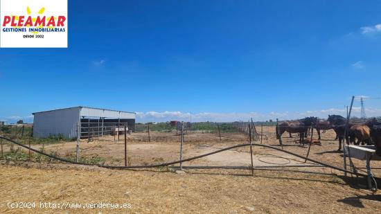 FINCA RUSTICA DE  35.776 M2     ZONA EL PINAR DE LA VILLA - CADIZ