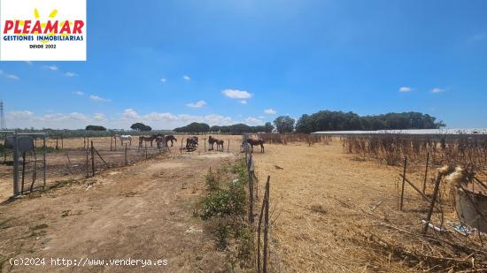 FINCA RUSTICA DE  35.776 M2     ZONA EL PINAR DE LA VILLA - CADIZ