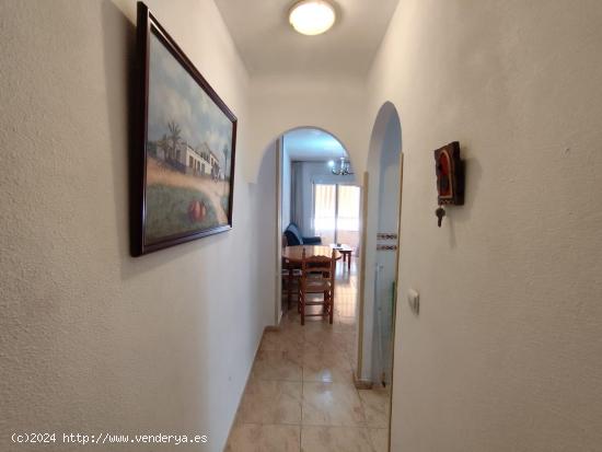 APARTAMENTO A 400 METROS DE LA PLAYA. 2 DORM. 1 BAÑO. PISCINA COMUNITARIA. - ALICANTE