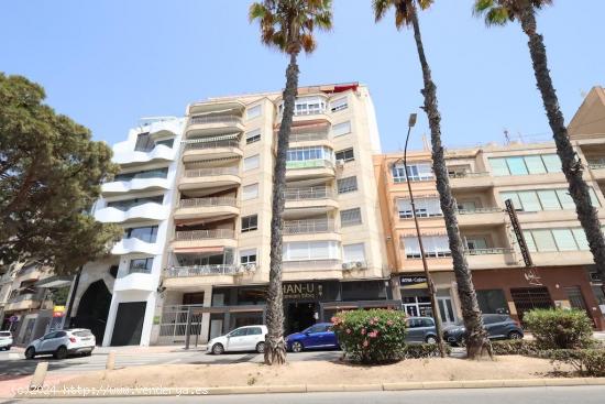 REFORMADO APARTAMENTO FRENTE DEL PUERTO. 3 DORM. 2 BAÑO. 110M2. - ALICANTE