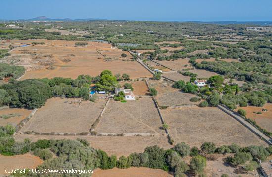 Finca rústica apta para viñeros en Mahón - BALEARES