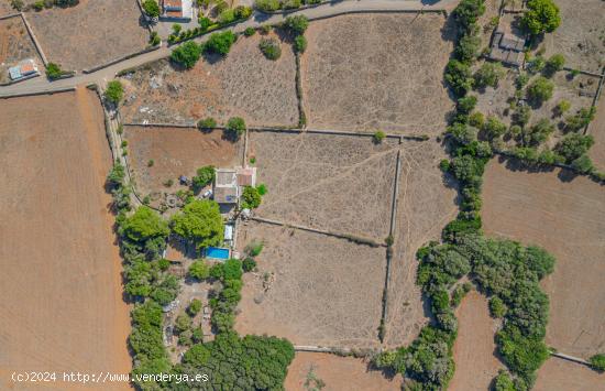 Finca rústica apta para viñeros en Mahón - BALEARES