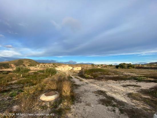  PARCELA DE 9000 M2 CON VISTAS AL CEJO - MURCIA 