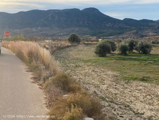 PARCELA DE 9000 M2 CON VISTAS AL CEJO - MURCIA