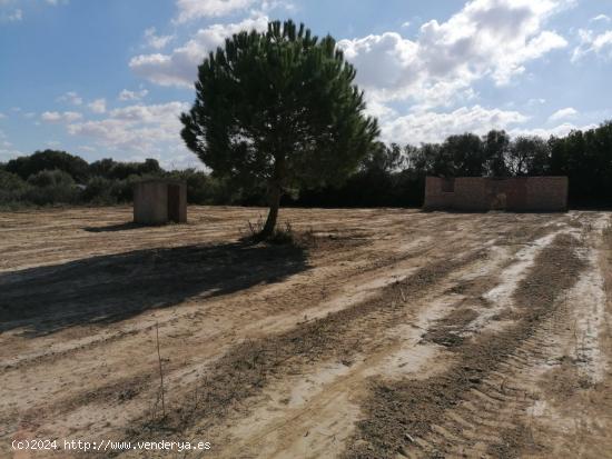 FINCA RUSTICA PROINDIVISA - CADIZ