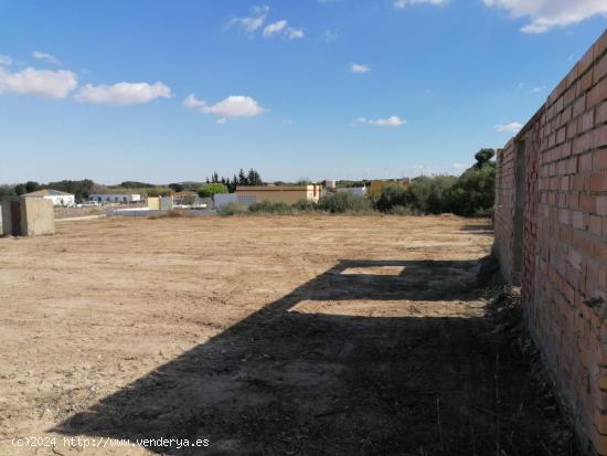 FINCA RUSTICA PROINDIVISA - CADIZ