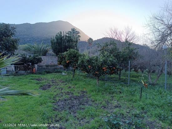 VENTA PARCELA CON CASA. TAVIZNA - CADIZ