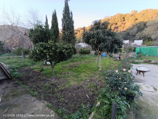 VENTA PARCELA CON CASA. TAVIZNA - CADIZ