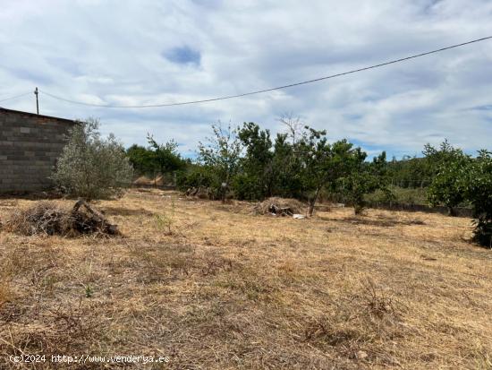 CASA PARA REFORMAR A 5 MINUTOS DE VERÍN - ORENSE