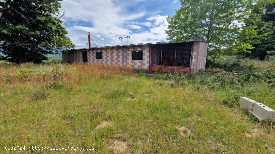 SE VENDE FINCA DE RECREO O GANADERA EN RODANILLO - LEON