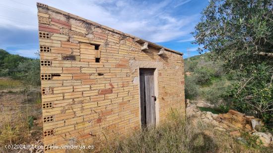 Despierta en la Naturaleza - TARRAGONA