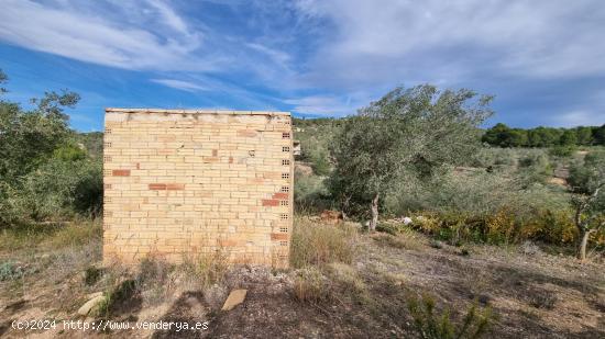 Despierta en la Naturaleza - TARRAGONA