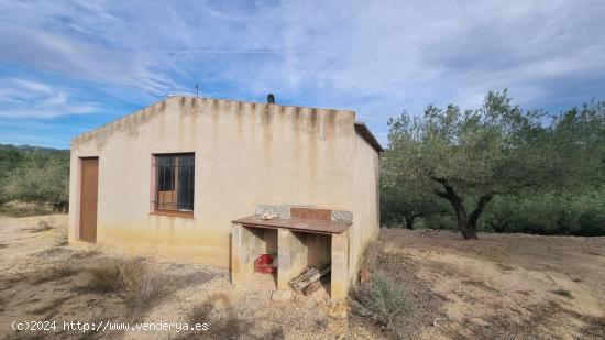 ¡Haz Realidad tus Ideas! Casa para Reformar en El Perelló te Espera. - TARRAGONA