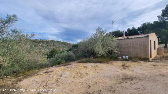 ¡Haz Realidad tus Ideas! Casa para Reformar en El Perelló te Espera. - TARRAGONA