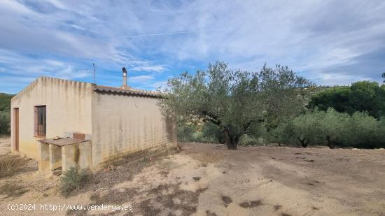 ¡Haz Realidad tus Ideas! Casa para Reformar en El Perelló te Espera. - TARRAGONA