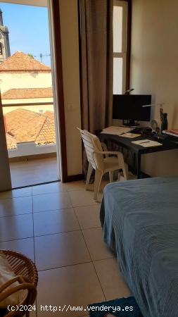 Habitación en piso compartido en Puerto de la Cruz - SANTA CRUZ DE TENERIFE