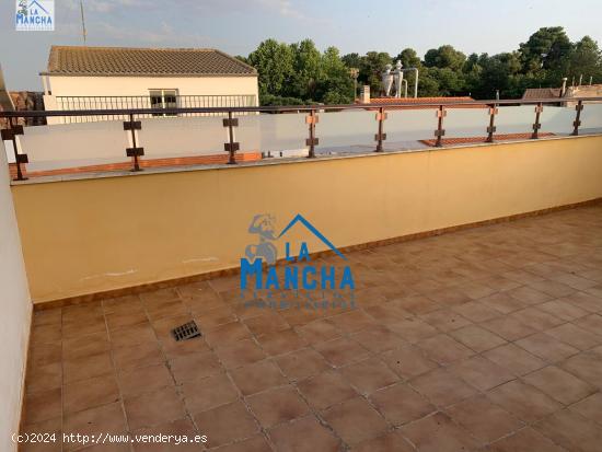 REF: C237 INMOBILIARIA LA MANCHA VENDE ADOSADO DE LUJO EN LA GINETA - ALBACETE