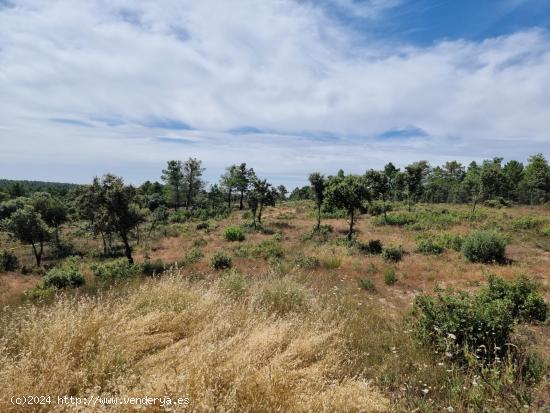 Terreno en venta en Parraceres III, Marugán - SEGOVIA